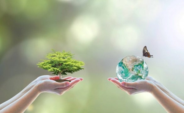 PHCom renforce son engagement durable et obtient le label Entreprise Ecodynamique 2 étoiles