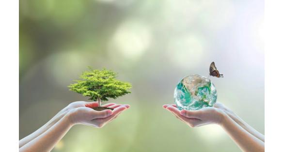 Performance et Harmonie, l�impact environnemental de phcom